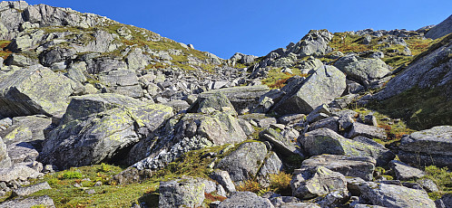 Looking back at my descent route from north of Trollahorgi