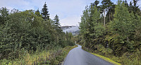 Bidnesvegen