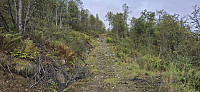 Tractor road getting rougher