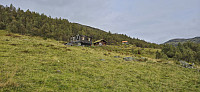 Svorto