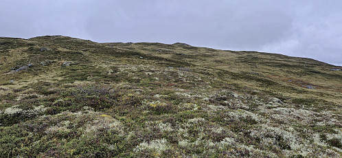 Approaching Såta