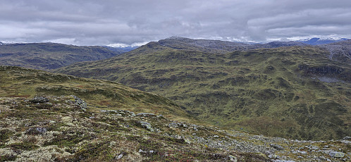 Larsfonnfjellet from Såta