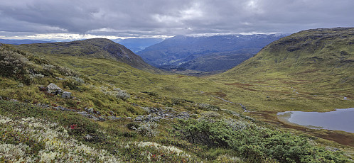 Bordi and Fribotnen