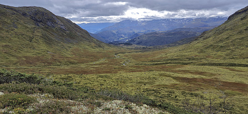Fribotnen