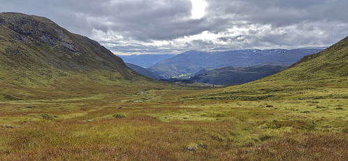 Fribotnen