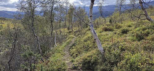 Trail markers when approaching Øyaset