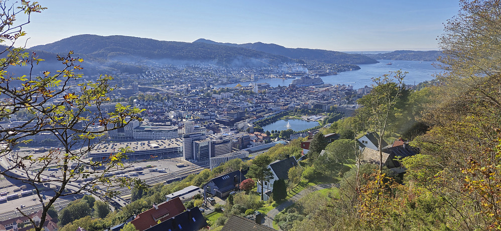 The Bergen city center from above Skansemyren