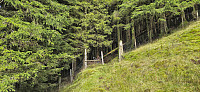 The gate we used, but should not