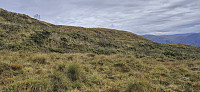Approaching Kvitnosa