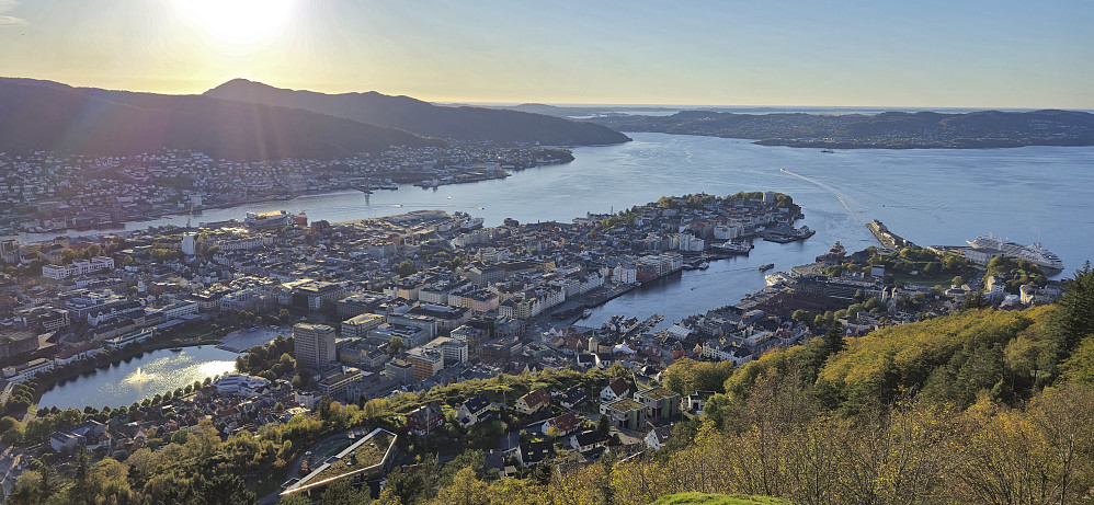 Bergen city center from Fløyen