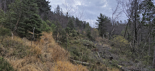 The trail underneath the overhead powerlines