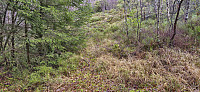 Unmarked trailhead for Rislikampen