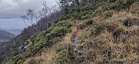 Trail to Rislikampen