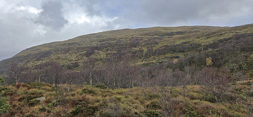 Livarden from Rislikampen