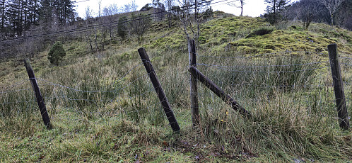 The opening in the barbed wire fence