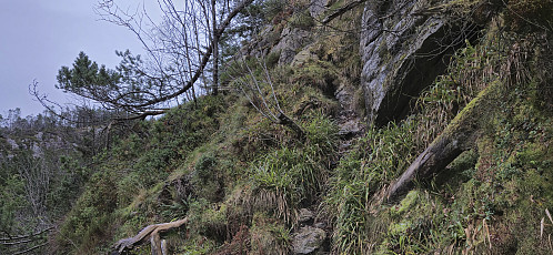 The steepest part of the trail up from Skredderdalen