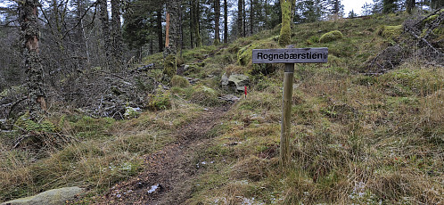 Rognebærstien north of Brushytten