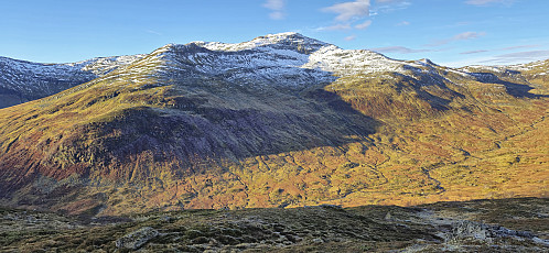 Fyresnipa from the ascent to Nord for Nosafjellet