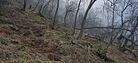 Following the trail in the fog