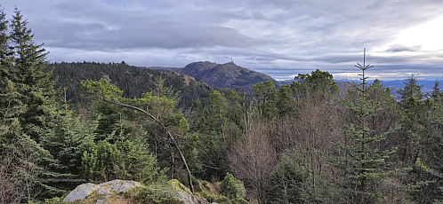Ulriken from Fløyfjellet