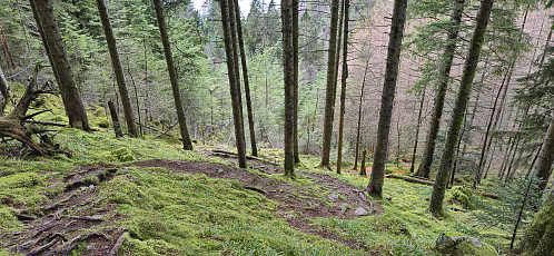 The trail down to Skredderdalen