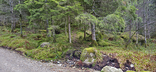 Looking back at the unmarked trailhead from the gravel road in Skredderdalen