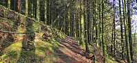 Trail to Hellestveitnova