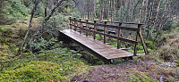 A very slippery bridge