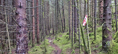 Marked trail to Hope