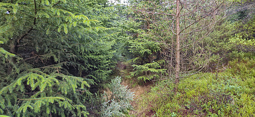 The trail to Havdena