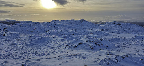 Kinno from Kinno Nordøst