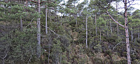 The densest part of the ascent 