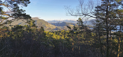 Northeast from Havrheia with Furehaugen at the center