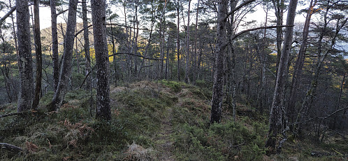Descending from Havrheia