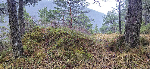The third potential summit at Høghaugen