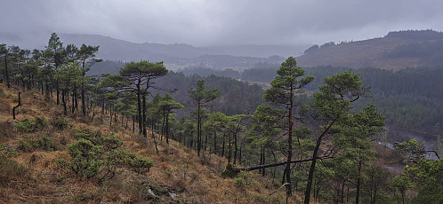 Descending from Høghaugen