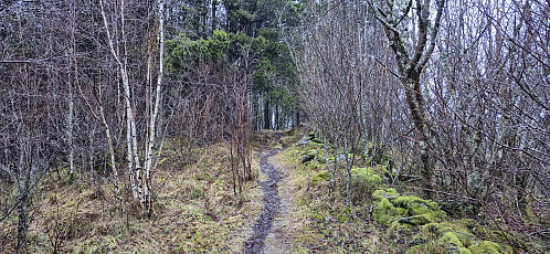 Trail along the ridge at Seimsheia