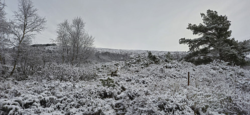 The trail hidden under the snow