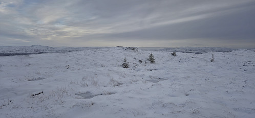Approaching the highest point at Stemmesegga