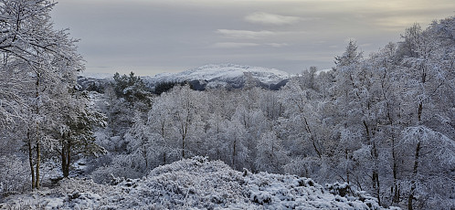 Gullfjellet from the descent