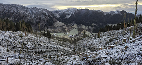The logging area I passed through on the way to Mjelddalen