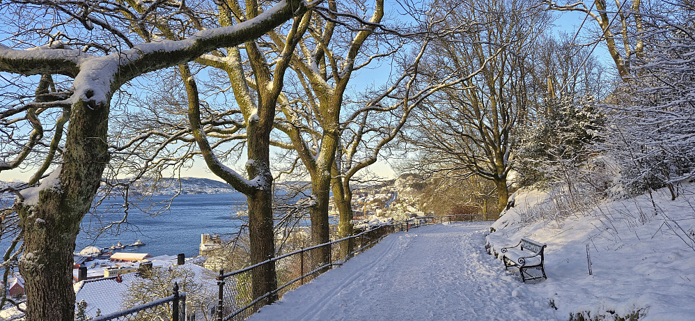 Fjellveien