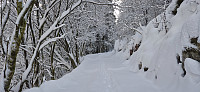 The road south of Søyleåsen