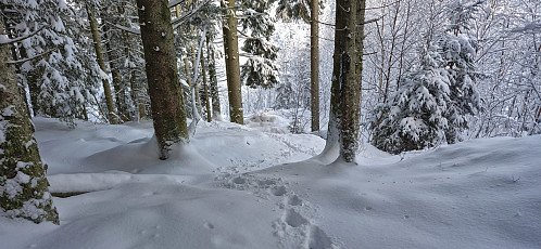 Descending from Søyleåsen