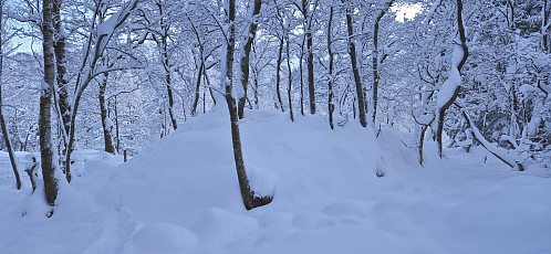 The highest point at Storeklubben