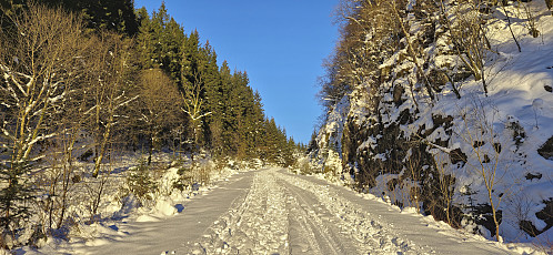The road up from Nedre Sandven