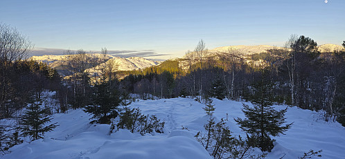 View north before entering the dense forrest