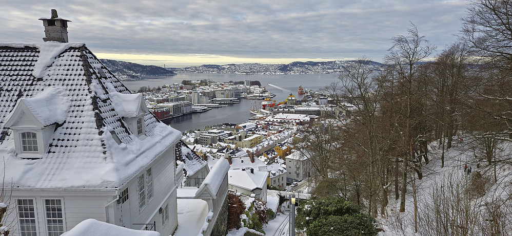 Nordnes and Bryggen from Fjellveien