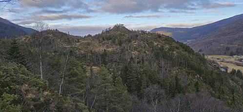 Tangelandsheiane Øst from Oksla