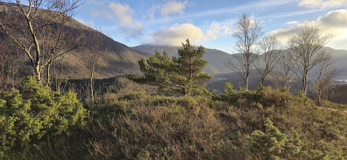 The highest point at Tangelandsheiane Øst